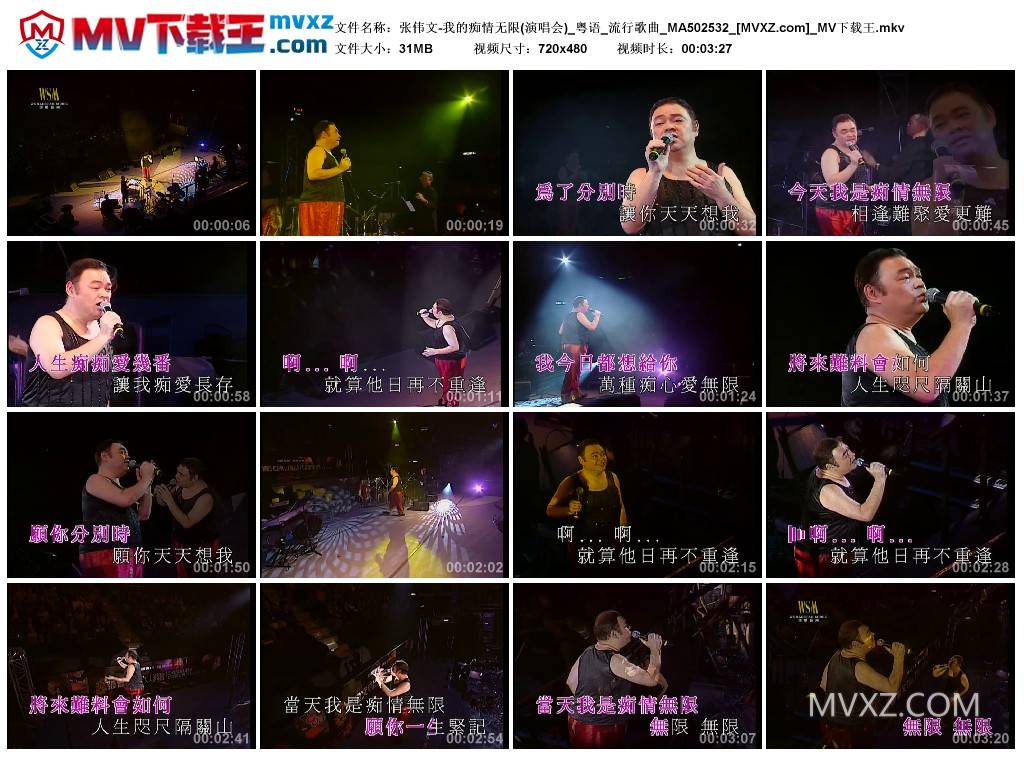 张伟文-我的痴情无限(演唱会)_粤语_流行歌曲_MA502532